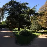 Claude Monet - Buttes-chaumont - La Mouzaia - Daire Paris