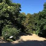Claude Monet - Buttes-chaumont - La Mouzaia - Daire Paris