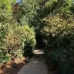 Claude Monet - Buttes-chaumont - La Mouzaia - Apartmán *